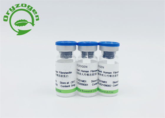 Rice Grain Recombinant Human Fibronectin For FN Detection