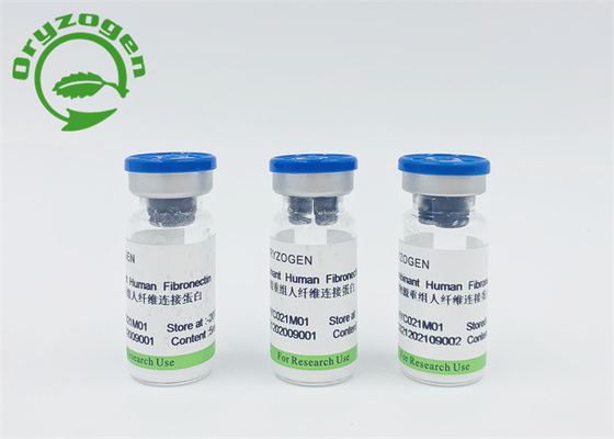 Animal Component Free Recombinant Human Fibronectin CAS 86088-83-7