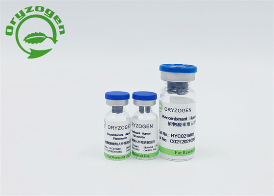 Powdered Non Blood Derived Recombinant Human Fibronectin