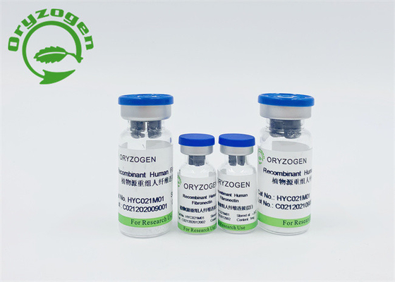 Rice Grain Serum Free Recombinant Human Fibronectin 86088-83-7