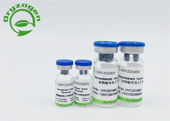 Oryza Sativa Recombinant Human Fibronectin Lyophilized Powder