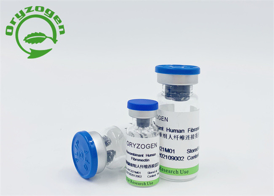 CAS 86088-83-7 Recombinant FN Lyophilized Powder