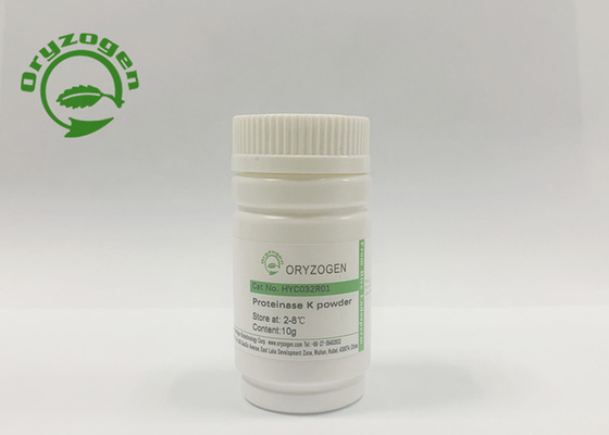 Yeast Derived Recombinant Proteinase K Extract Nucleic Acid
