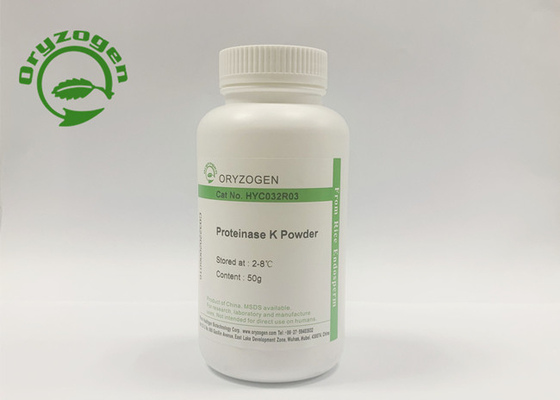 Liquid and Lyophilized Powder Recombinant Proteinase K Digest Protein