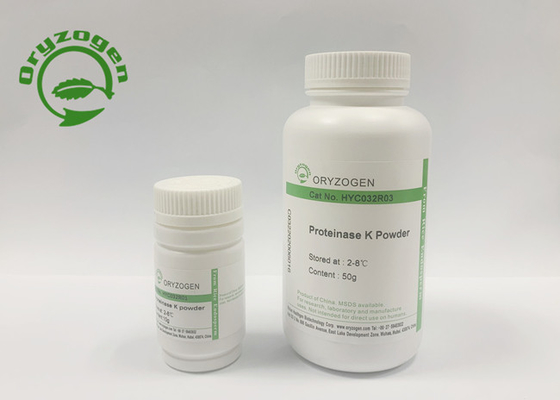Pichia Pastoris Derived Recombinant Proteinase K Digest Protein Inactivates Nucleases