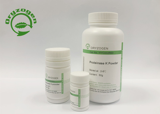 Stable Supply Recombinant Proteinase K For Polysaccharide Vaccines