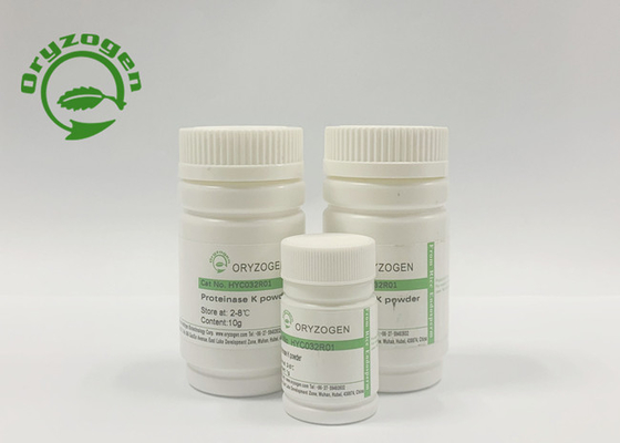 80kg/month Recombinant Proteinase K For RNA Extraction