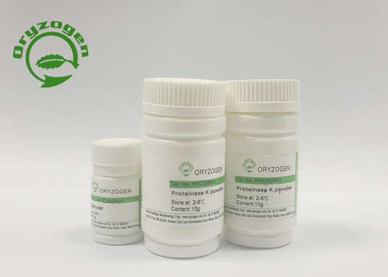 Recombinant Proteinase K For Covid-19 Nucleic Acid Extraction