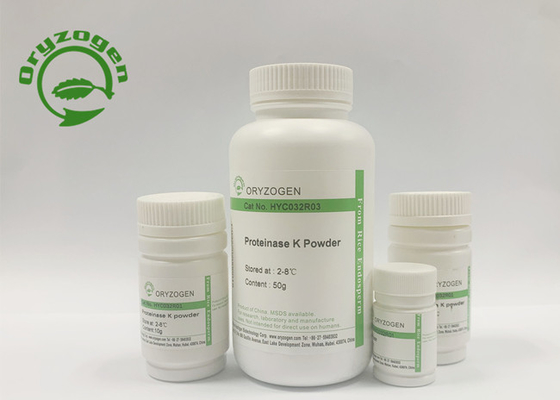Greater Than 95% Purity Recombinant PK For Covid – 19 Nucleic Acid Detection