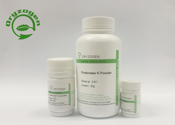 Greater Than 40 U/MgP Specific Activity Recombinant Proteinase K For DNA Extraction