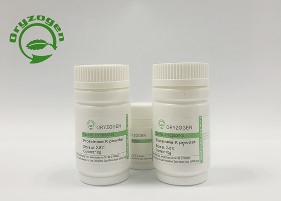Yeast Derived Recombinant Proteinase K High Activity 40 U / mgP