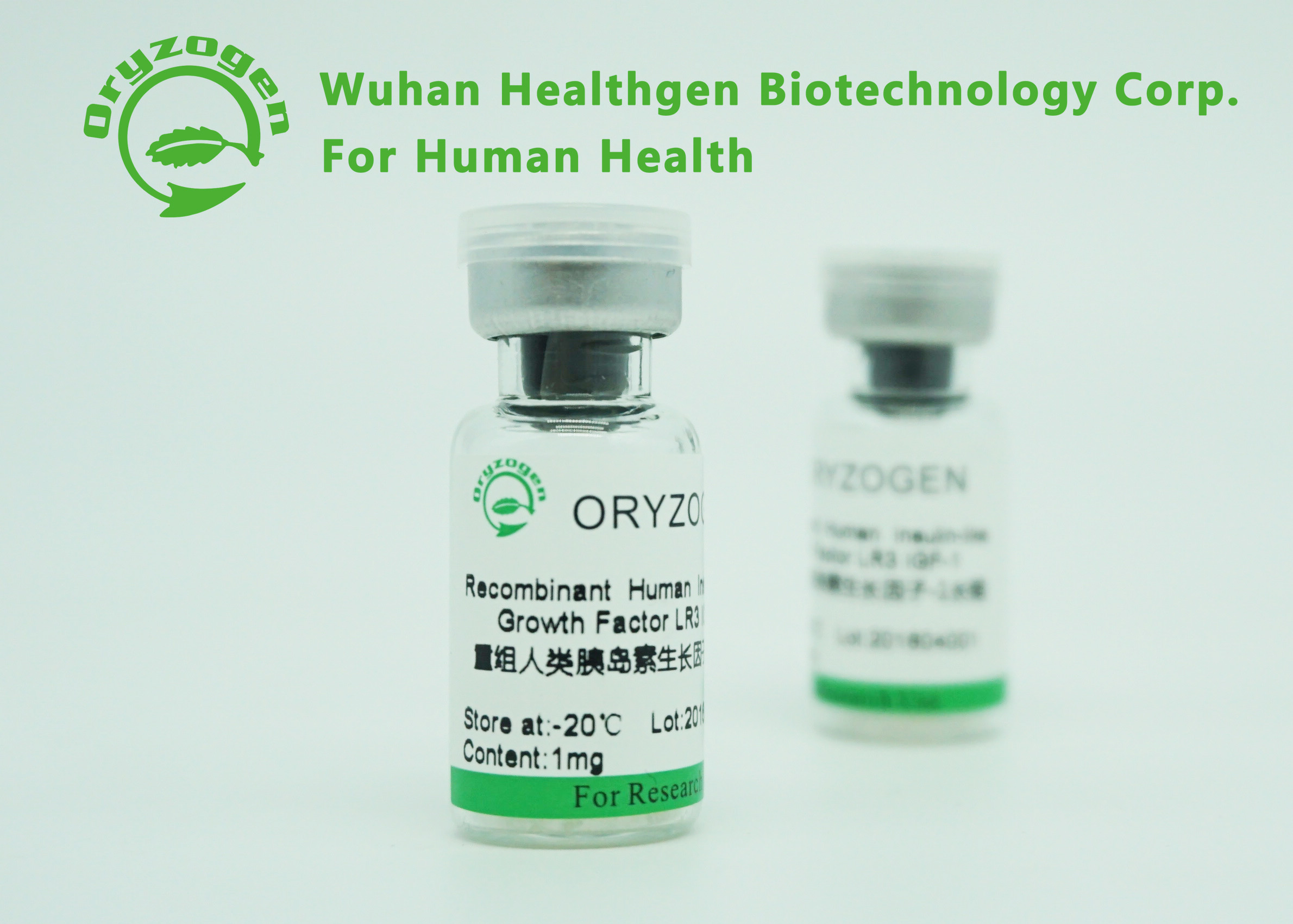 1Ng / Ml ED50 IGF 1 Long R3 Human Protein Yeast Origin