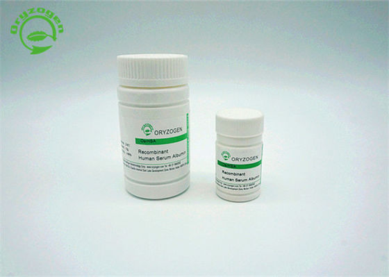 Rice Grain Recombinant rHSA Powder Endotoxin Less Than 0.125 EU/Mg